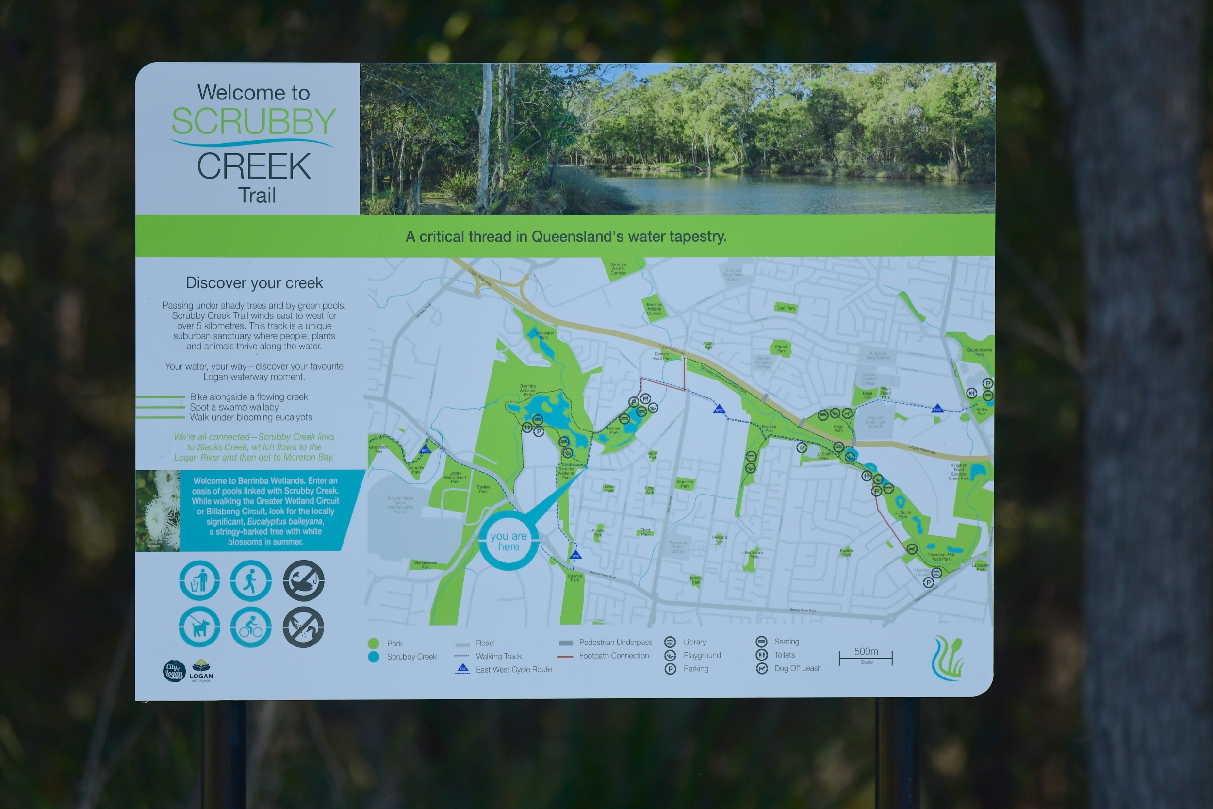 Berrinba Wetlands, Sep 2020 – Bird Spots