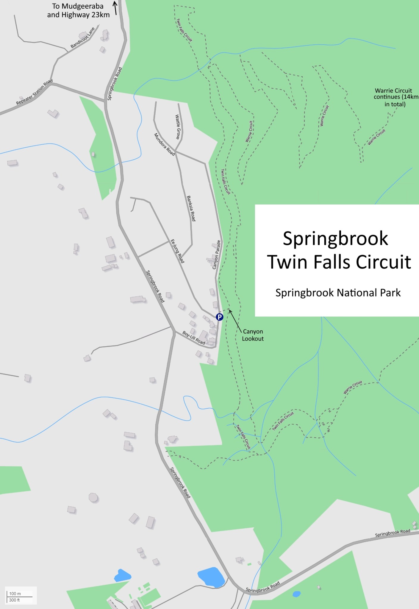 Springbrook Twin Falls Circuit, Mar 2021 – Bird Spots