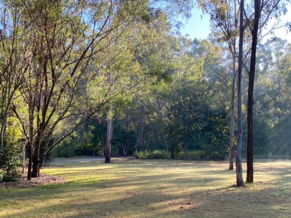 Hardings Paddock, 2020-2024