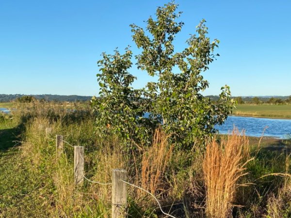 Finland Rd, 2021-2023