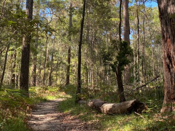 Venman Bushland NP,&nbsp;2024
