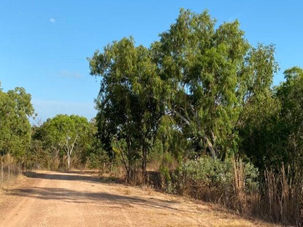 Lee Point, 2022 and&nbsp;2024